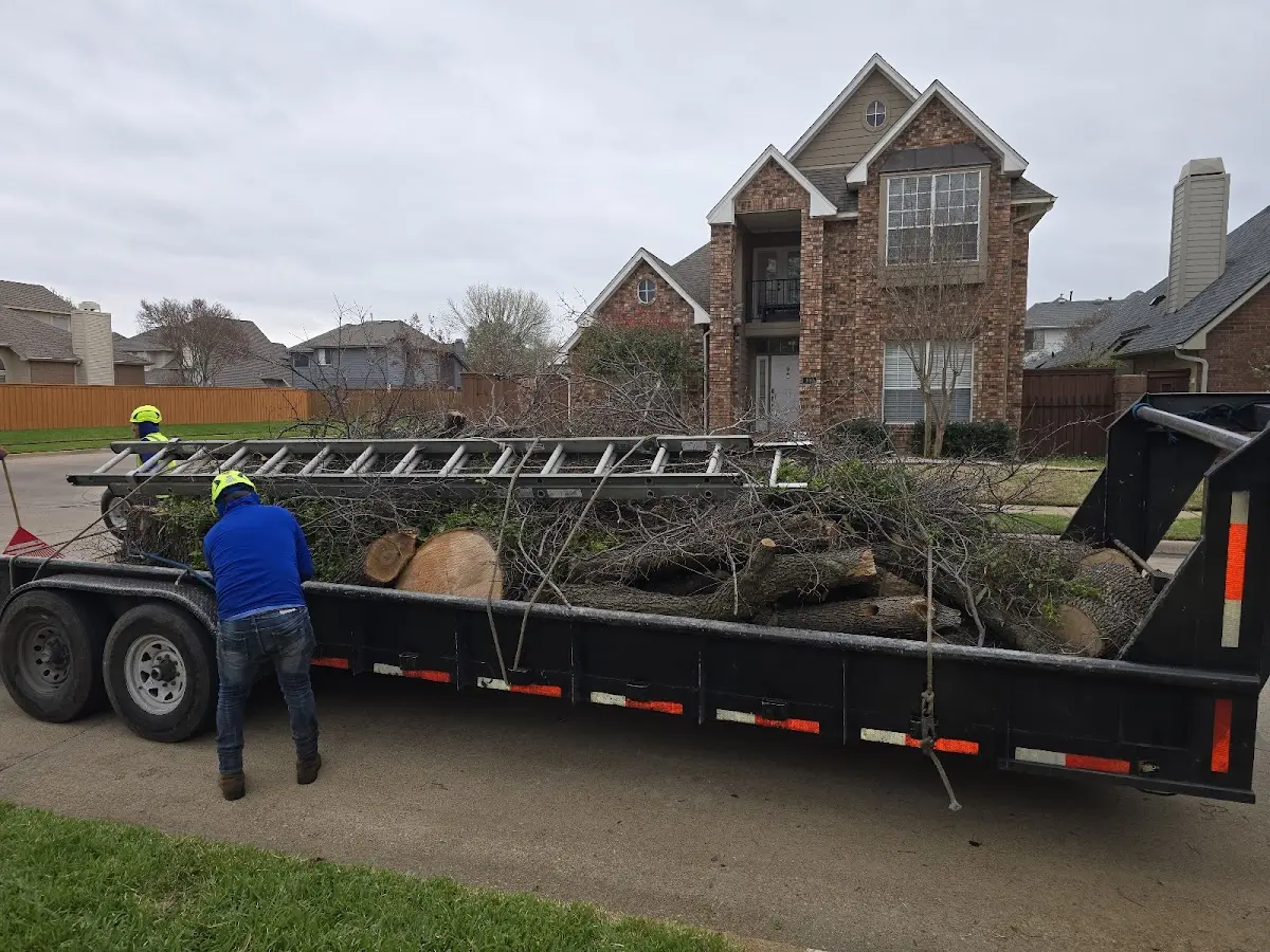 Expert Crown Reduction with proper safety equipment in Reedley